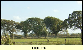 Holton Lee, Dorset