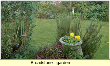 Broadstone, Dorset - garden