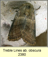 Treble Lines, Charanyca trigrammica ab obscura