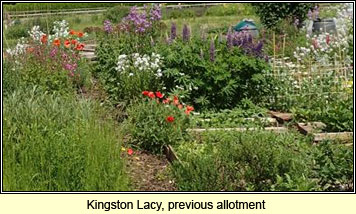 Kingston Lacy, Dorset - previous allotment